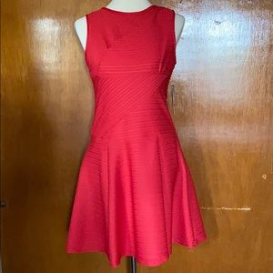 Sandra Darren Red Petite dress